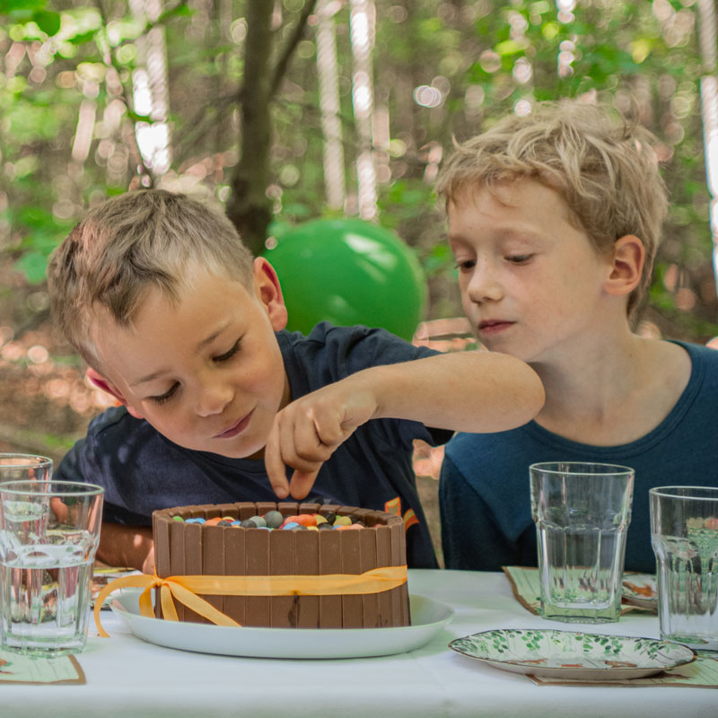 Kletterwald-Regensburg_Geb.kuchen_076_800x800